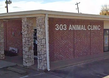Photo of 303 ANIMAL CLINIC, Veterinary clinics specialist