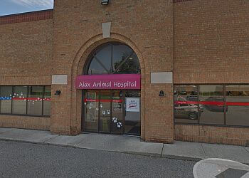 Photo of AJAX ANIMAL HOSPITAL, CONDITIONS TREATED:Arthritis, Cardiology, Dermatology, Senior Care &amp; Weight ManagementTREATMENTS OFFERED:Behavioural Counselling, Bloodwork, Dental Care, Deworming, Diagnostics, Euthanasia, Heartworm Testing, Laser Therapy, Microchipping, Nutrition Counselling, Parasite Control and Prevention, Rehabilitation, Spaying and Neutering, Surgical Services, Vaccinations &amp; Veterinary Exam in AJAX