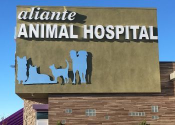 Photo of ALIANTE ANIMAL HOSPITAL, Vaccinations, Senior Wellness Care, Microchipping, Dental Care, Low-Cost Spay and Neuter, Surgery, Diagnostic Imaging (X-rays and Ultrasound), Pet Hotel &amp; Grooming in NORTH LAS VEGAS