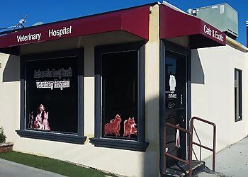 Photo of AMBASSADOR LONG BEACH VETERINARY HOSPITAL, Boarding, Dental Care, Digital X-Ray, Emergency Service, Grooming, Heartworm And Parasite Prevention, House Calls, In-House Laboratory Diagnostics, In-House Pharmacy, Internal Medicine and Hospitalization, Laser Therapy, Microchipping, Nutrition Counseling, Orthopedics And Hip Surgeries, Oxygen And Transfusion Therapy, Pain Management, Private Cremations, Puppy and Kitten Wellness Plan, Services For Birds And Exotics, Senior Wellness, Spays And Neuters, Surgery, Ultrasound &amp; Vaccinations in LONG BEACH