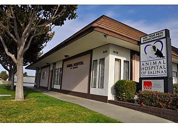 Photo of ANIMAL HOSPITAL OF SALINAS, Veterinary clinics specialist