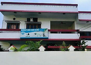 Photo of ASHRAY DOG CARE CLINIC, Pet Grooming and Bathing, Dental Care, Vaccinations, Veterinary Treatments, Routine Checkups, Dermatology, Biochemistry, X-Ray, Separate Wards, Operating Theatre, Dentistry Services, ECG &amp; Blood Tests in GORAKHPUR
