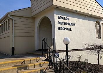 Photo of AVALON VETERINARY HOSPITAL, Primary and Urgent Care, Dental Radiography, Microchipping, Surgery, In-House Laboratory, Dentistry, Digital Radiography &amp; Nutrition in PITTSBURGH