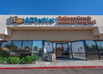 Photo of AZPETVET DOBSON RANCH ANIMAL HOSPITAL & GROOMING, Veterinary clinics specialist