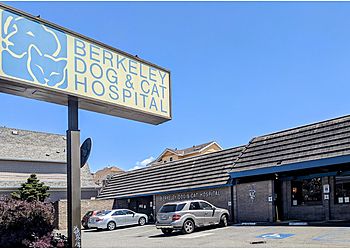 Photo of BERKELEY DOG &amp; CAT HOSPITAL, Vaccinations and Prevention, Routine Exams, Internal Medicine, Dental Care, Cold Laser Therapy, Amputation, C-Sections, Dental, Orthopedic and Soft Tissue Surgery, Spaying and Neutering, Splenectomy, Acupuncture &amp; Eastern Medicine, Tibial Plateau Levelling Osteotomy, Tibial Tuberosity Advancement, Radiography (Digital X-Rays), Ultrasound, ECG, Endoscopy, Ct Scans (Computed Tomography) &amp; Surgical Lasers in BERKELEY