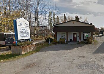 Photo of BLUE SKY ANIMAL HOSPITAL, Veterinary clinics specialist
