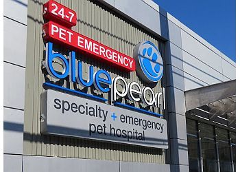 Photo of BLUEPEARL PET HOSPITAL, Rehabilitation, Blood Bank, Oncology, Radioactive Iodine, Clinical Pathology, Emergency Medicine, Cardiology, Arthroscopic, Critical Care, Anesthesia and Pain Management, Radiation Oncology, Dermatology and Allergy, Minimally Invasive Surgery, Diagnostic Imaging, Dentistry and Oral Surgery, Neurology and Neurosurgery, Internal Medicine &amp; Ophthalmology in PHILADELPHIA