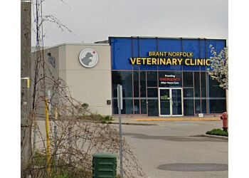 Photo of BRANT NORFOLK VETERINARY CLINIC, Veterinary clinics specialist