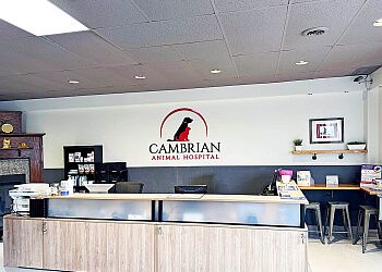 Photo of CAMBRIAN ANIMAL HOSPITAL, Veterinary clinics specialist
