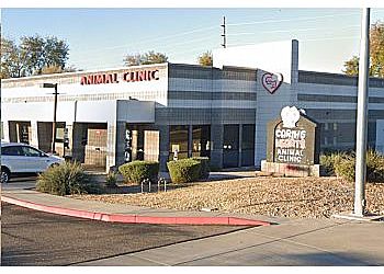 Photo of CARING HEARTS ANIMAL CLINIC, Veterinary clinics specialist