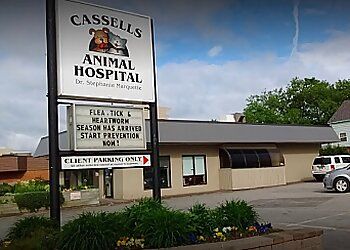 Photo of CASSELLS ANIMAL HOSPITAL, CONDITIONS TREATED:Urinary System Issues, Parasite Prevention (Flea, Tick, Heartworm), Pregnancy Monitoring &amp; Oral Health IssuesTREATMENTS OFFERED:Vaccinations, Health and Wellness Consultations, Nutritional Consultations and Veterinary Diets, Pre-Travel Consultation and Health Exams, Emergency Screenings, In-House Ultrasound, Extensive Abdominal Exams, Digital X-Rays (Dental and Standard), Surgery, End of Life Consultations, Dental Cleanings &amp; Extractions in NORTH BAY