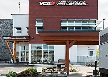 Photo of CENTRAL VICTORIA VETERINARY HOSPITAL, Veterinary clinics specialist