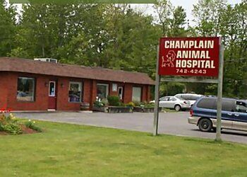 Photo of CHAMPLAIN ANIMAL HOSPITAL, Veterinary clinics specialist