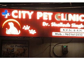 Photo of CITY PET CLINIC, Diagnosis, Preventive Medicine, Vaccination, Deworming, Pathology Tests, Primary Treatments, Surgeries, X-Ray, Usg &amp; Pet Food in KANPUR
