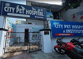 Photo of CITY PET HOSPITAL, Veterinary hospitals specialist