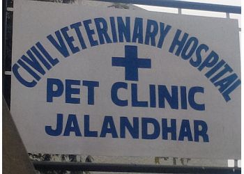 Photo of CIVIL VETERINARY HOSPITAL PET CLINIC, Veterinary hospitals specialist