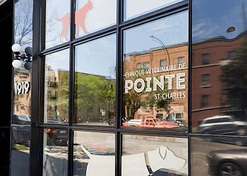 Photo of CLINIQUE VÉTÉRINAIRE DE POINTE ST-CHARLES, CONDITIONS TREATED: General Anesthetic, Parasite Prevention, Vaccines, Preventive Medicine, Surgery, Dentistry, Pain Management &amp; Pre-Operative Exam
TREATMENTS OFFERED: Telemedicine, Surgical Planning, Intravenous Catheter Placement &amp; Sedation in MONTREAL