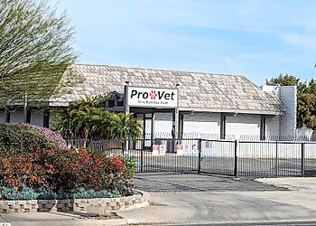 Photo of DIRK BUTCHKO PRO VET, Physical Examinations, Vaccination, Consultation, Dentistry, Laser Therapy, Orthopedic Surgery &amp; Soft Tissue Surgery in RIVERSIDE