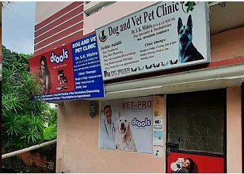Photo of DOG &amp; VET, Pet Treatment, Pet Diet Planning, Pet Behavior Therapy, Reiki Animal Therapy, Castration, Spaying, Tumor Removal, Cesarian Section &amp; Orthopedics in GORAKHPUR