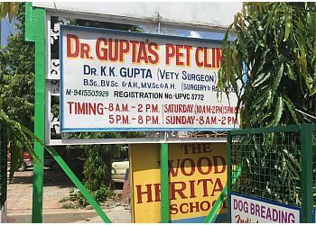 Photo of DR GUPTA'S PET CLINIC, Veterinary hospitals specialist