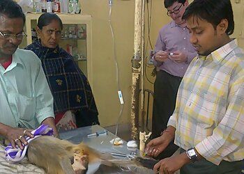 Photo of DR. KAUSTAV BASU VET, Veterinary hospitals specialist