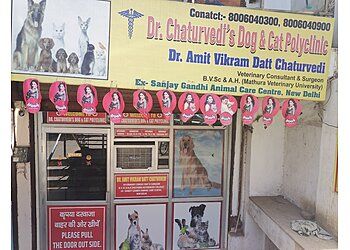Photo of DR.CHATURVEDI'S DOG & CAT POLYCLINIC, Veterinary hospitals specialist