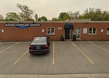 Photo of DUFFERIN VETERINARY HOSPITAL, CONDITIONS TREATED:De-Worming and Parasite Control, Nutrition, Behavioral Issues, Weight Management, House Training &amp; Basic Training Including SocializationTREATMENTS OFFERED:Vaccination, Dental Radiography, Micro-Chipping, Dental Care, Boarding, Rehabilitation, Radiography, Acupuncture and Chiropractic Care, Stem Cell Therapy, Spaying &amp; Neutering in ORANGEVILLE