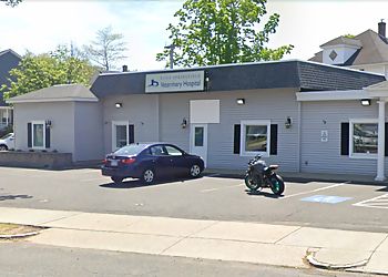 Photo of EAST SPRINGFIELD VETERINARY HOSPITAL, Dentistry, Laboratory, Ultrasonography, Senior Wellness Exams, Dental Exams and Cleaning, Diagnostics, Routine Office Visits, Spay/Neutering, Nutrition Counseling, Surgery, Technical Tooth Extractions, Animal Vaccinations, Polishing, Surgeries, Radiology &amp; Emergencies in SPRINGFIELD