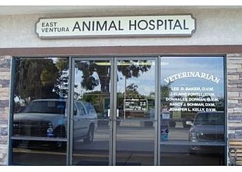 Photo of EAST VENTURA ANIMAL HOSPITAL, Veterinary clinics specialist