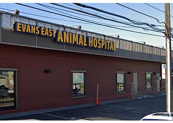 Photo of EVANS EAST ANIMAL HOSPITAL, Pain Management, Urgent and Dental Care, Surgery, Digital Radiology, Diagnostic Laboratory, Exams/Consultations, Ultrasonography, Allergies, Vaccinations, Acupuncture, Wellness, Internal Medicine, Laser Therapy, Anesthesia, Microchipping &amp; Behavior Counselling in DENVER