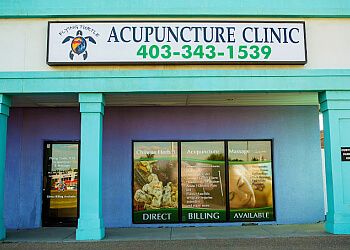 Photo of FLYING TURTLE ACUPUNCTURE, Back Pain, Headaches, Sinus Issues, Arthritis, Fibromyalgia, Anxiety, Stress, Depression, PTSD, Sciatica, Sprains and Strains from Sports Injuries, Frozen Shoulders, Shingles, Plantar Fasciitis, Bell’s Palsy, Sequela Stroke &amp; IBS (Irritable Bowel Syndrome) in RED DEER