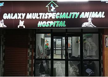 Photo of GALAXY MULTISPECIALITY ANIMAL HOSPITAL, Veterinary hospitals specialist