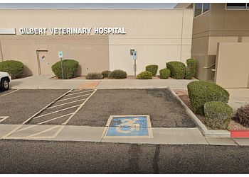 Photo of GILBERT VETERINARY HOSPITAL, Veterinary clinics specialist