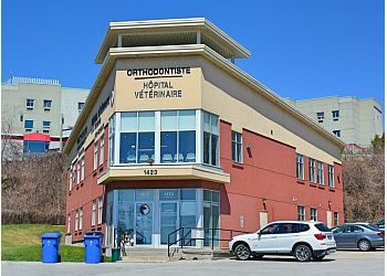 Photo of HÔPITAL VÉTÉRINAIRE DE LA SEIGNEURIE DE TERREBONNE INC., CONDITIONS TREATED:Blood balance, Euthanasia, Elder Care &amp; Weight ManagementTREATMENTS OFFERED:Acupuncture, Behavioral Advice, Nutritional Advice, Veterinary Examination, Micropuçage, Prevention and Treatment of Parasites, Surgical Services, Medical Imaging Services, Urgent Care, Dental Care, Sterilization, Heartworm Test, Vaccination for Cats and Kittens, Vaccination for Dogs and Puppies &amp; Dewormer in TERREBONNE