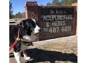 Photo of KELLY’S ORIENTAL MEDICINE ACUPUNCTURE &amp; HERBS, CONDITIONS TREATED:Eczema, Fatigue, Weakness, Fertility Problems, Pain Management, Acne, Allergies, Anxiety, Arthritis, Asthma, Bacterial Infection, Bronchitis, Burns, Cuts, Scrapes, Dermatitis, Diabetes, Digestive Disorders, Stomach Problems, Earache, Smoking Cessation, Toothache, Fibromyalgia, Flu, Insomnia, Nausea, Sinusitis, Weight Problems, Migraine &amp; Common Cold in FAYETTEVILLE
