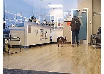 Photo of LAKE MERIDIAN ANIMAL HOSPITAL, Labor and Delivery, Travel Certificates, Life Stage Pet Care, Spaying/Neutering, Injury or Illness Examinations, Flea and Tick Prevention, Digital Dental Radiography, Anesthetic Dental Care, Euthanasia, Hospice Care, Microchipping &amp; Surgery in KENT