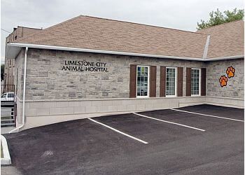 Photo of LIMESTONE CITY ANIMAL HOSPITAL, Veterinary clinics specialist