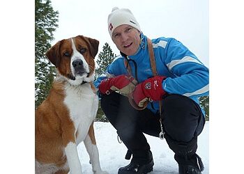 Photo of MATTHEW WRIGHT-SMITH, CONDITIONS TREATED:
Sport Injuries, Hip, Knee, Neck, Mid and Low Back Pain, Shoulder Injuries and Issues, Migraines, Vertigo, Headaches, Persistent/Chronic Pain, Dizziness, Pregnancy-related Pain, Arthritis, Sprains and Strains of Muscles, Ligaments, and Joints, Muscle Tightness and Contractures, Poor Posture and Alignment in Sitting &amp; Tendinitis/Tendinopathy
TREATMENTS OFFERED:
Active Rehabilitation, Gunn IMS (Intramuscular Stimulation), Dry Needling, Extremity Mobilization and Rehabilitation, Manual Therapy, Manipulation, Postural Correction, Sports Injuries Physiotherapy, Radial Shockwave Therapy, Vestibular Positioning and Rehabilitation &amp; Kinesiology in LANGLEY