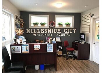 Photo of MILLENNIUM CITY VETERINARY HOSPITAL, Wellness Care, Vaccination Programs, Spay and Neuter, Boarding, Dentistry, Anesthesia and Patient Monitoring, Cardiology, Endocrinology, Radiology, Spaying, Wellness and Pain Management and Control, Microchip Pet Identification and Surgery, Flea Control, Medical Assessment &amp; Dermatology in PICKERING