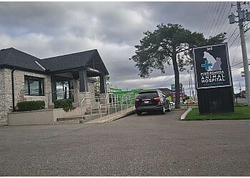 Photo of MISSISSAUGA ANIMAL HOSPITAL, Veterinary clinics specialist