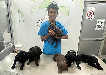 Photo of NEW LIFE PET CARE CENTER, Veterinary hospitals specialist