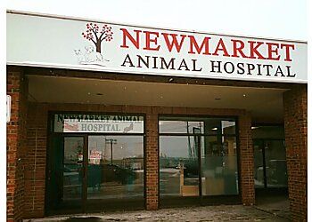 Photo of NEWMARKET ANIMAL HOSPITAL, CONDITIONS TREATED:Advanced Radiology and Ultrasounds, Dental Care, Parasite Prevention, Hospice &amp; EuthanasiaTREATMENTS OFFERED:Grooming, Microchipping, Preventative Care, Spay and Neuter, Surgery, Vaccinations, Wellness Exams &amp; Bloodwork in NEWMARKET