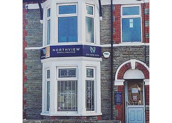 Photo of NORTH VIEW DENTAL PRACTICE, Smile Fast, Teeth Stain Removal, Fillings, General, Cosmetic Dentistry, Hygiene, Tooth Whitening, Root Canal, Periodontal, Scale and Polish, Straight Teeth, Crowns, Bridges, Dentures &amp; Dental Implants in CAERPHILLY