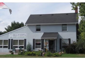 Photo of ORILLIA PET HOSPITAL, Veterinary clinics specialist