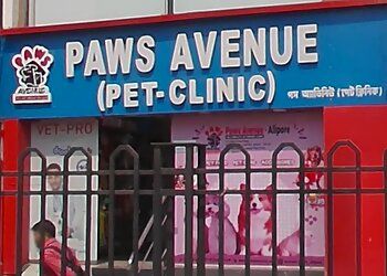 Photo of PAWS AVENUE - PET CARE CLINIC, Veterinary hospitals specialist
