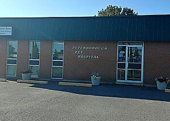 Photo of PETERBOROUGH PET HOSPITAL, Veterinary clinics specialist