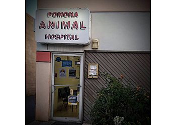 Photo of POMONA ANIMAL HOSPITAL, Veterinary clinics specialist
