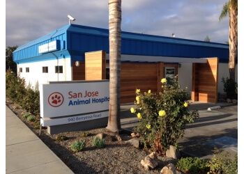 Photo of SAN JOSE ANIMAL HOSPITAL, Stomach, Roundworm, Nail Trim, Eye Removal Surgery, Vaccination, Bone Plating, Dose, Spay/Neuter, Heartworm Test, Full Physical and Fecal Exam, Leptospirosis, Anal Gland Expression, Laboratory Equipment and Digital Radiography, Bladder Stone Surgery, Routine Exam, Skin Tumor Removal, Eye Repair, Tapeworm Deworming &amp; Radiographs in SAN JOSE