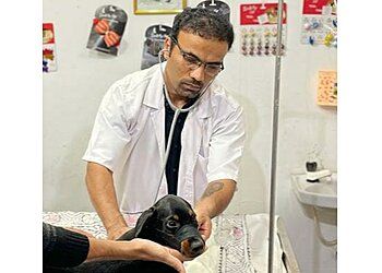 Photo of SHREE PET CLINIC, Veterinary hospitals specialist