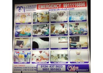 Photo of SKRD VETERINARY HOSPITAL, Veterinary hospitals specialist